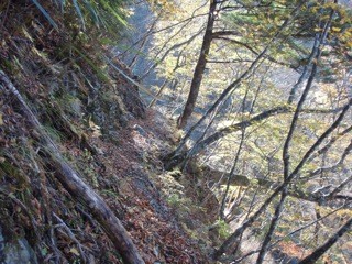 f:id:k-1:20081102121100j:image