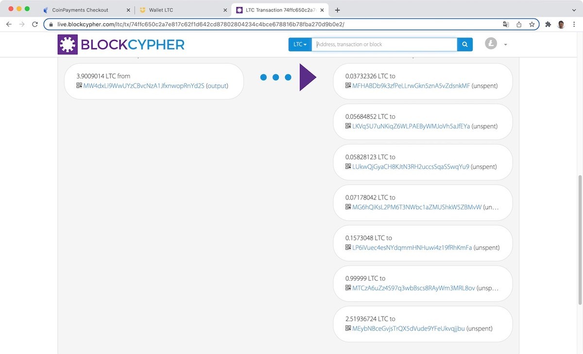 Allnodes #Symbol #フルノード費用 #Litecoin で支払いにチャレンジ！ - k144 Personal Note