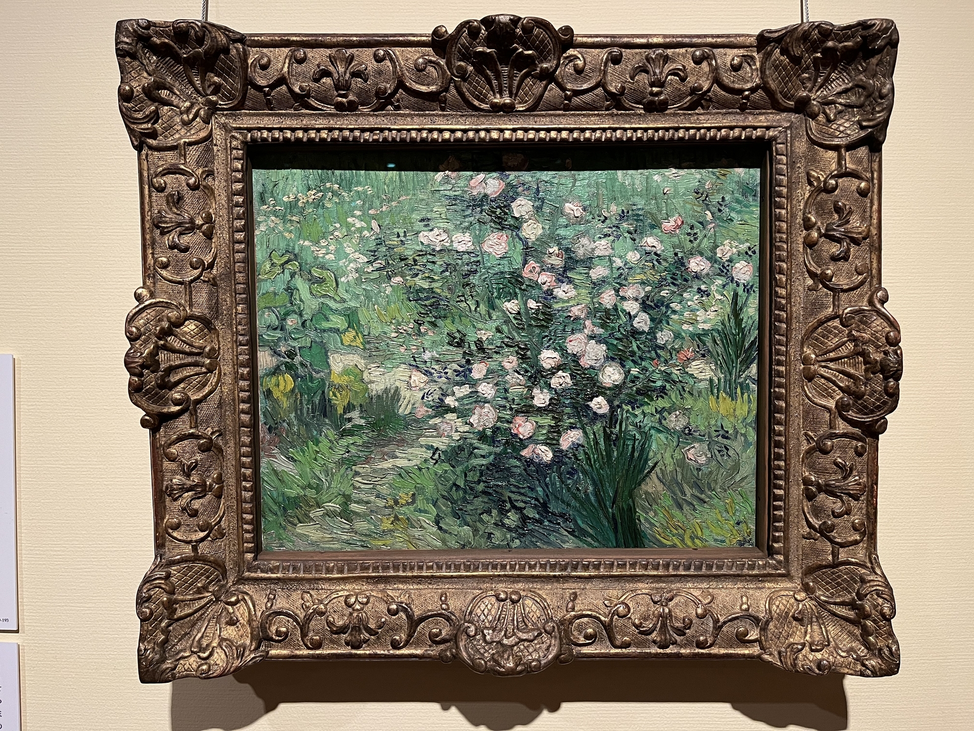 ゴッホ 薔薇 アルゴグラフ 額縁付き 最終価格 ゴッホ《ばら》の新しい