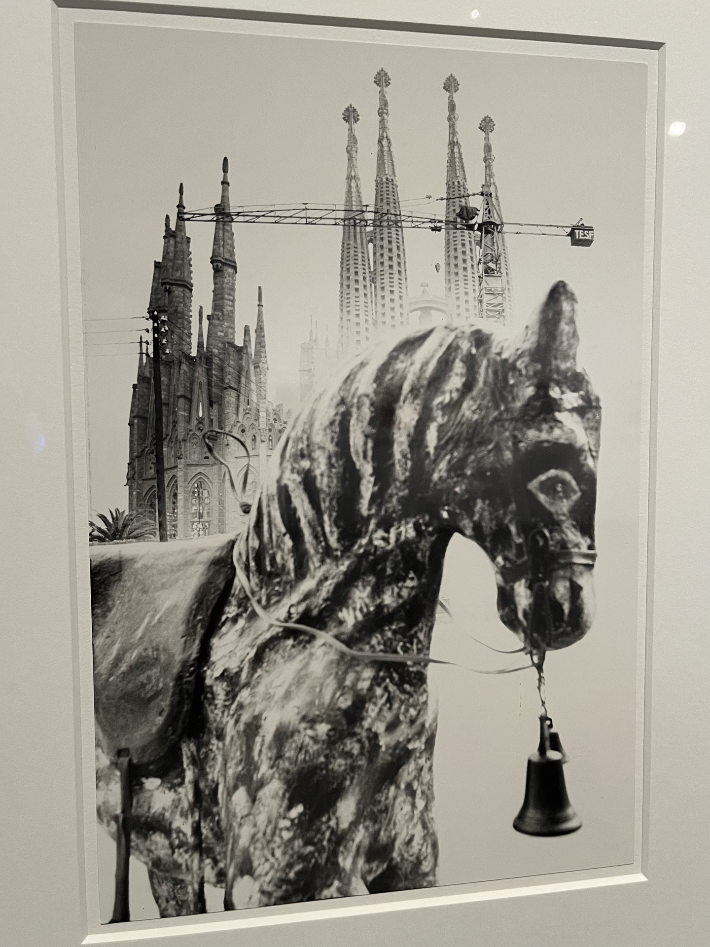 岡上淑子のフォトコラージュ7点 － 2026年3月のMOMATコレクション展
