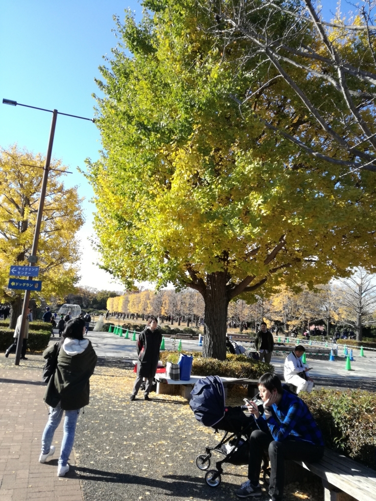 f:id:k-emu:20171125213658j:plain