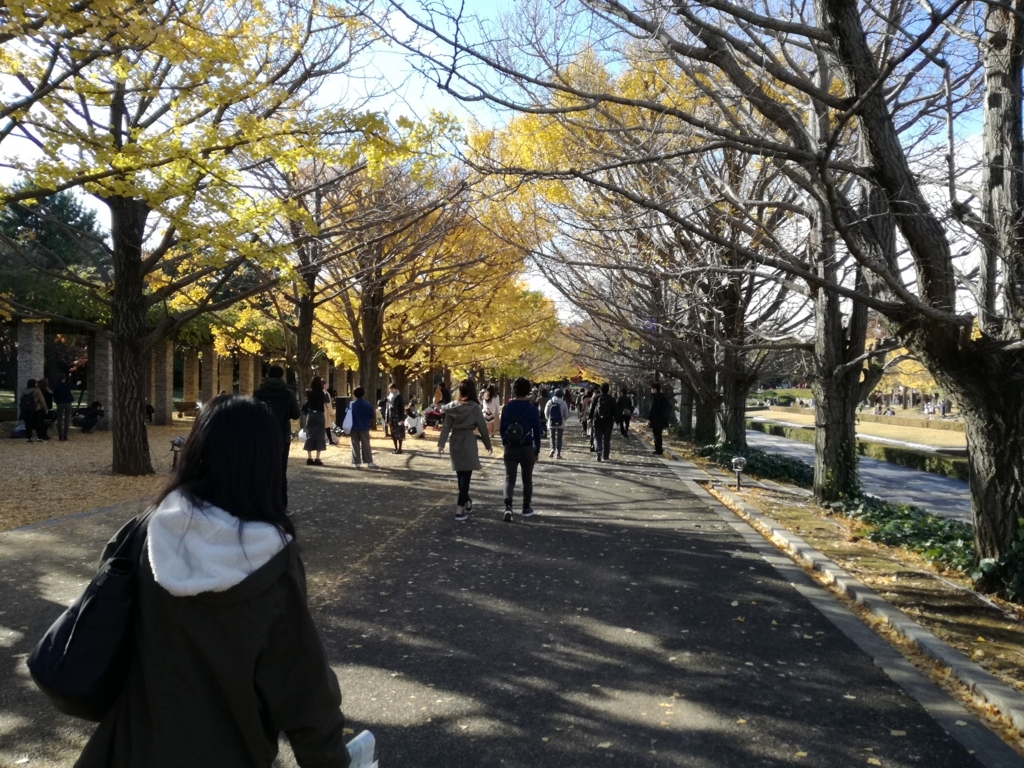 f:id:k-emu:20171125213751j:plain