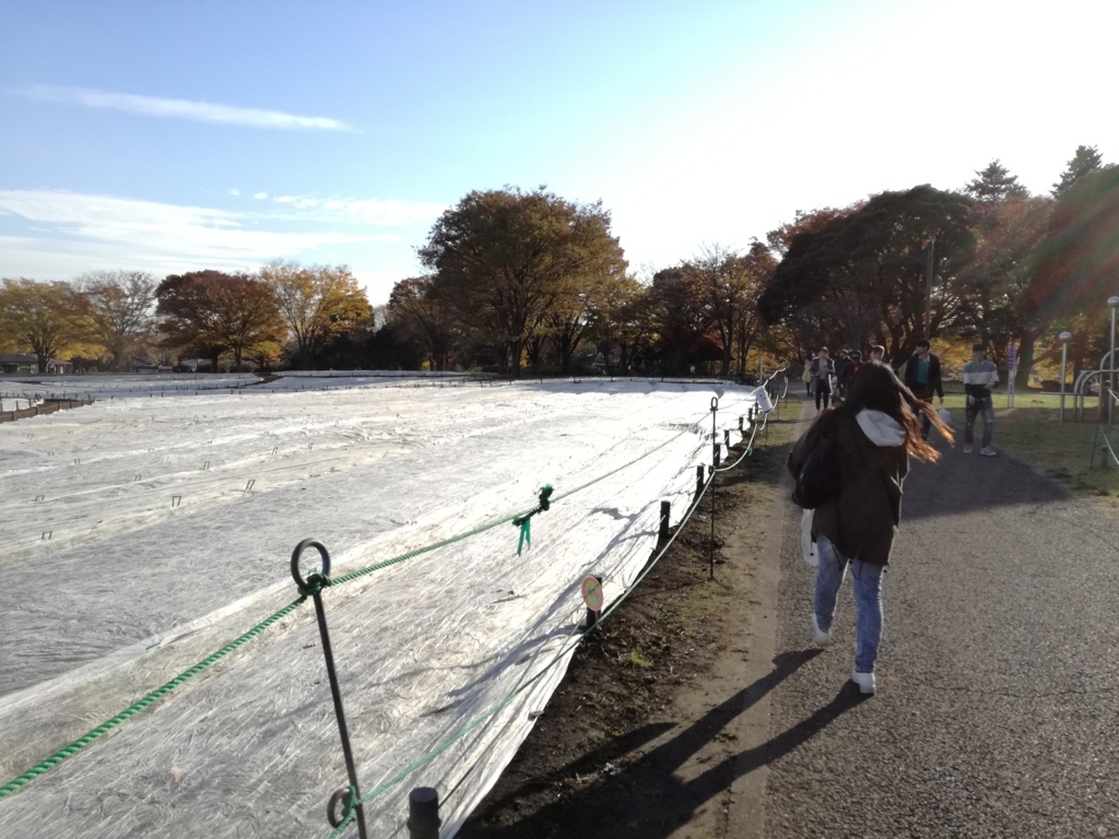 f:id:k-emu:20171125214127j:plain