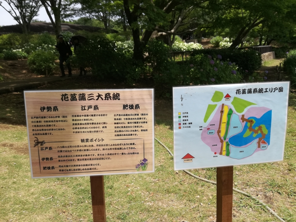 f:id:k-emu:20180609233843j:plain