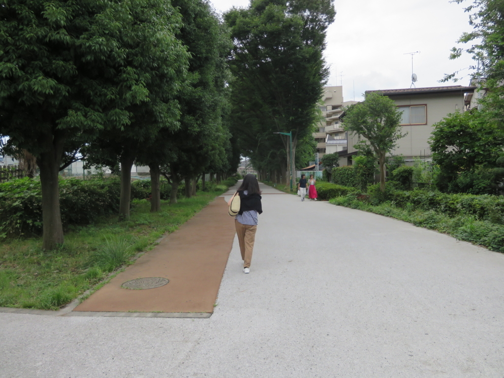 f:id:k-emu:20180707235804j:plain