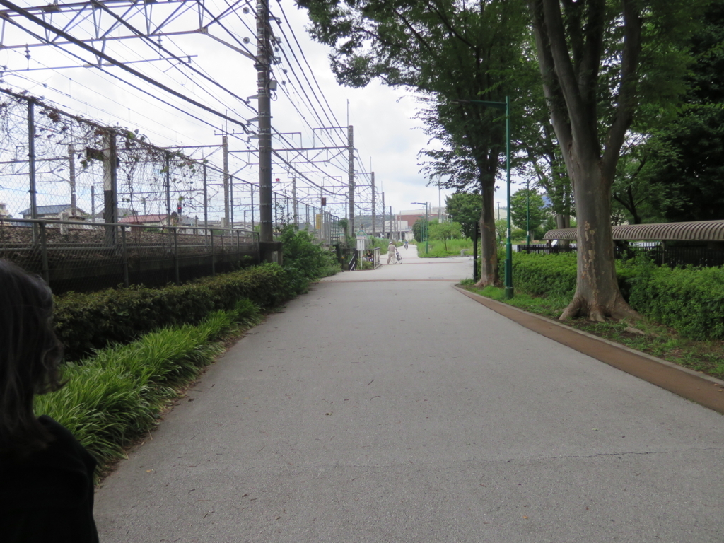 f:id:k-emu:20180707235843j:plain