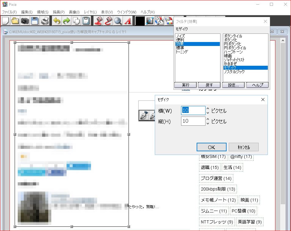 モザイク 10ピクセル