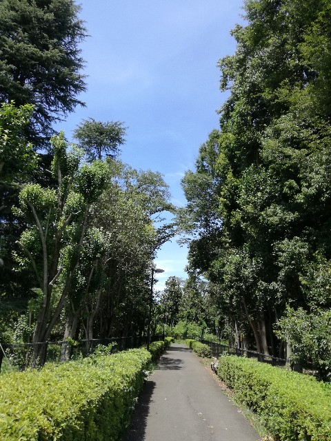 f:id:k-emu:20180723215749j:image