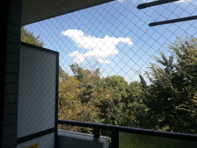 f:id:k-emu:20180826232014j:image