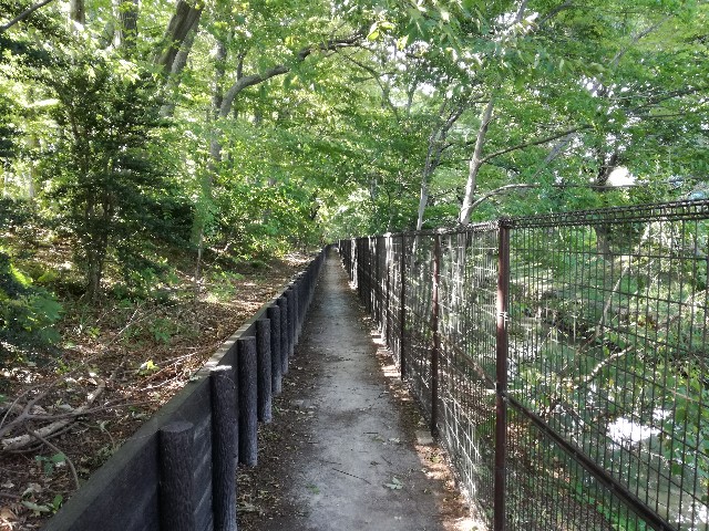 f:id:k-emu:20180826232332j:image