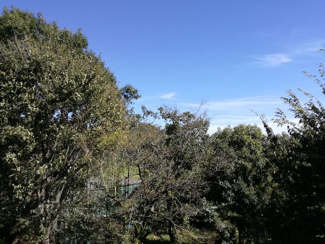 f:id:k-emu:20181001222330j:image
