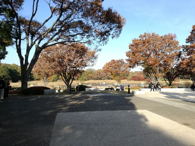f:id:k-emu:20181125213925j:image