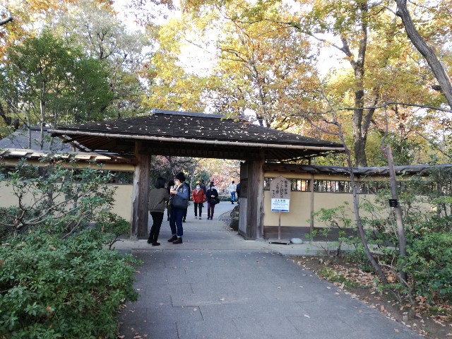 f:id:k-emu:20181125214318j:image