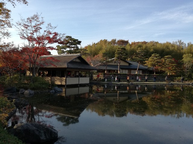 f:id:k-emu:20181125214353j:image
