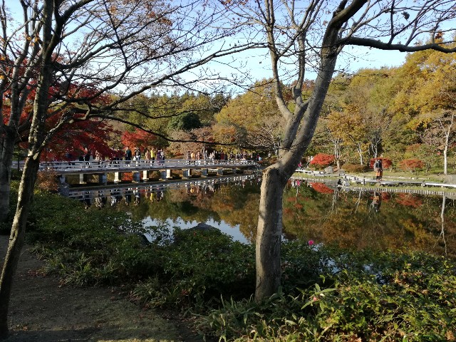 f:id:k-emu:20181125214527j:image