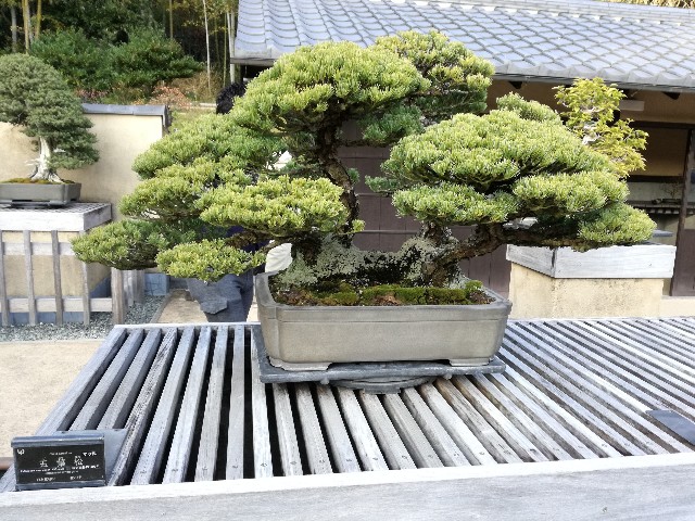 f:id:k-emu:20181125214620j:image