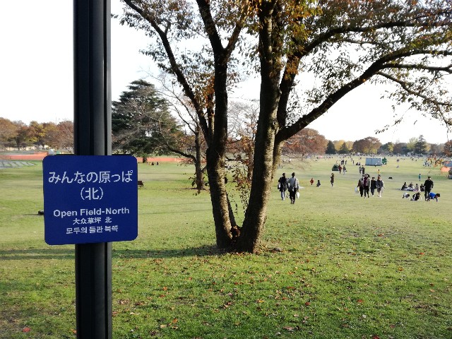 f:id:k-emu:20181125214703j:image