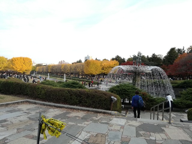 f:id:k-emu:20181125214811j:image