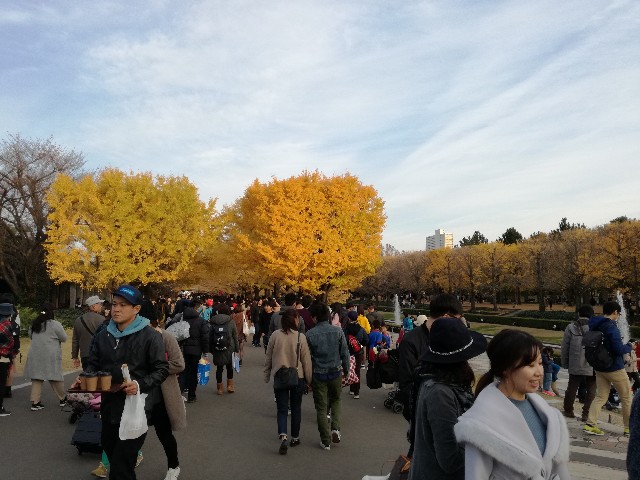 f:id:k-emu:20181125214842j:image