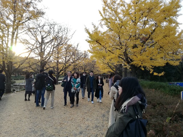 f:id:k-emu:20181125214934j:image