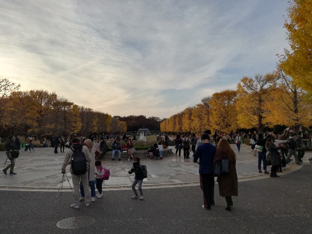 f:id:k-emu:20181125215013j:image