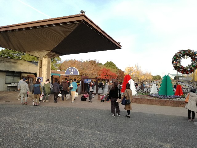 f:id:k-emu:20181125215031j:image