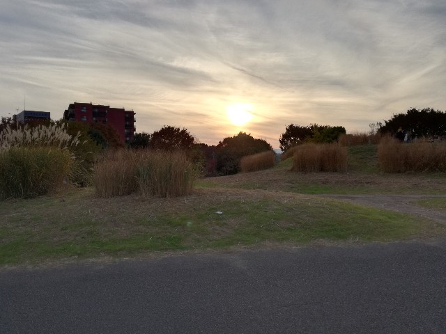 f:id:k-emu:20181125215133j:image