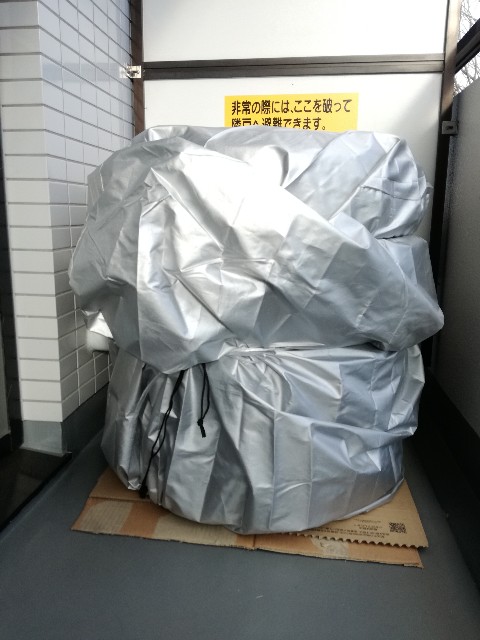 f:id:k-emu:20181228233254j:image