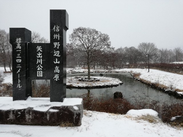 f:id:k-emu:20190120203304j:image