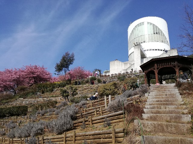 f:id:k-emu:20190224233804j:image