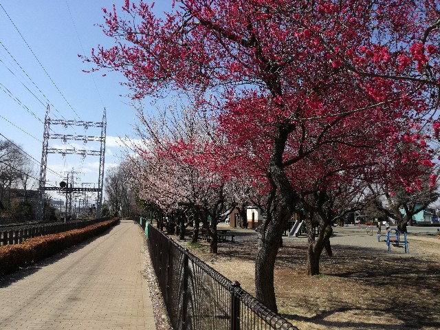f:id:k-emu:20190314232134j:image f:id:k-emu:20190314232134j:image