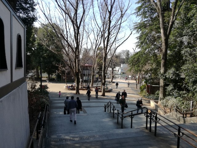 f:id:k-emu:20190317225635j:image
