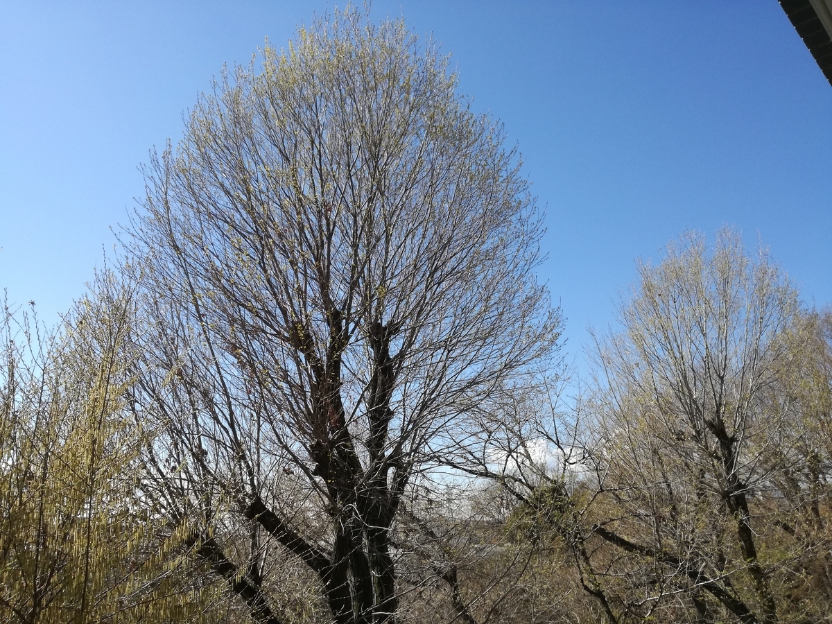 f:id:k-emu:20190401222619j:plain f:id:k-emu:20190401222619j:plain