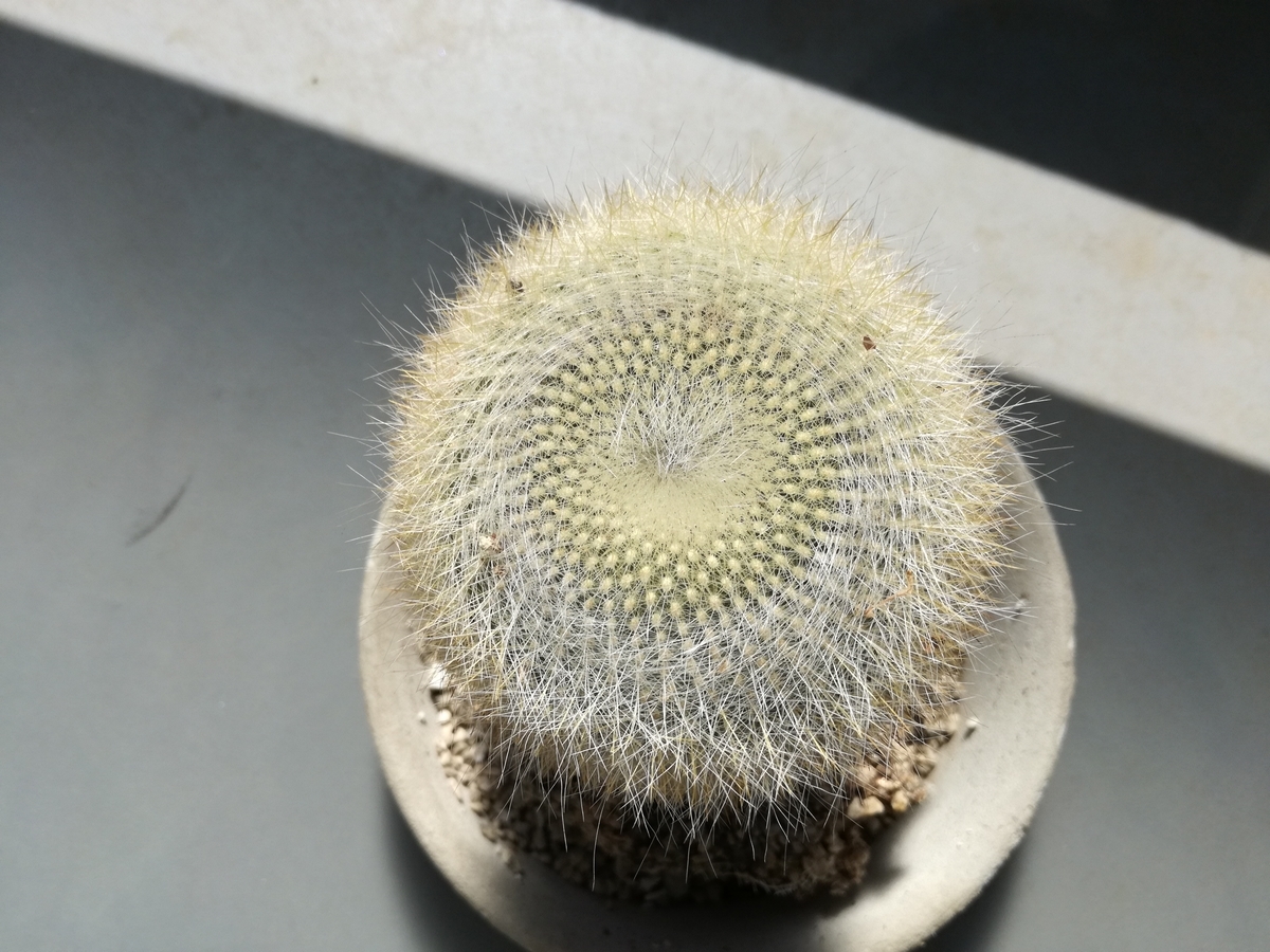 f:id:k-emu:20190401223402j:plain f:id:k-emu:20190401223402j:plain