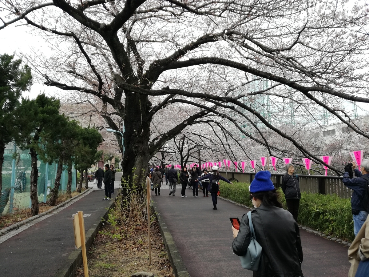 f:id:k-emu:20190403232238j:plain