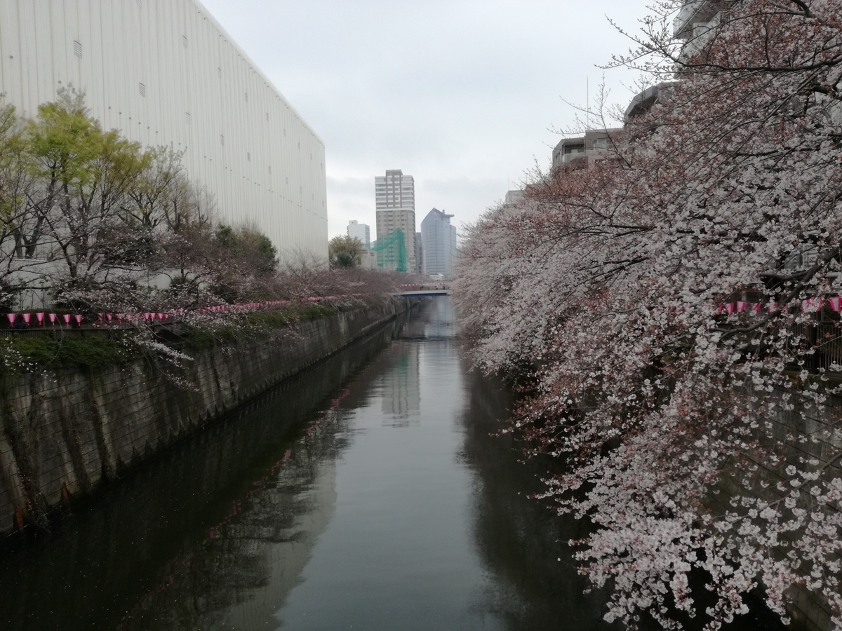 f:id:k-emu:20190403234731j:plain