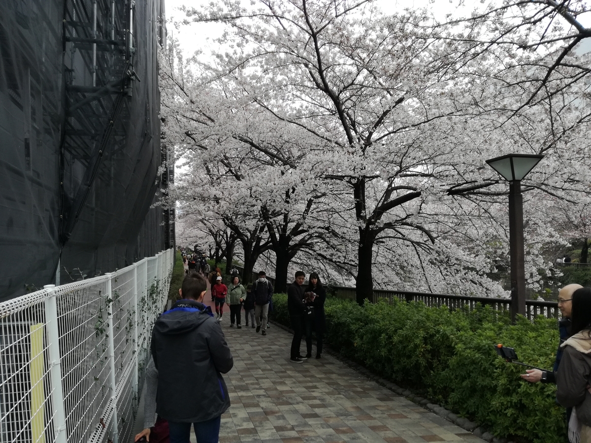 f:id:k-emu:20190403234956j:plain