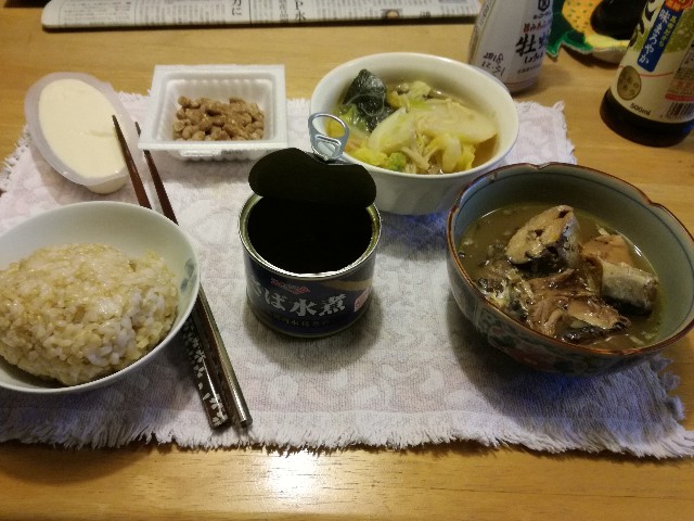 f:id:k-emu:20190418231337j:image