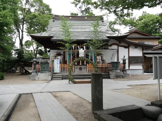 f:id:k-emu:20190623220317j:image