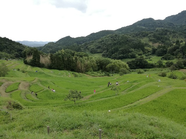 f:id:k-emu:20190713231832j:image