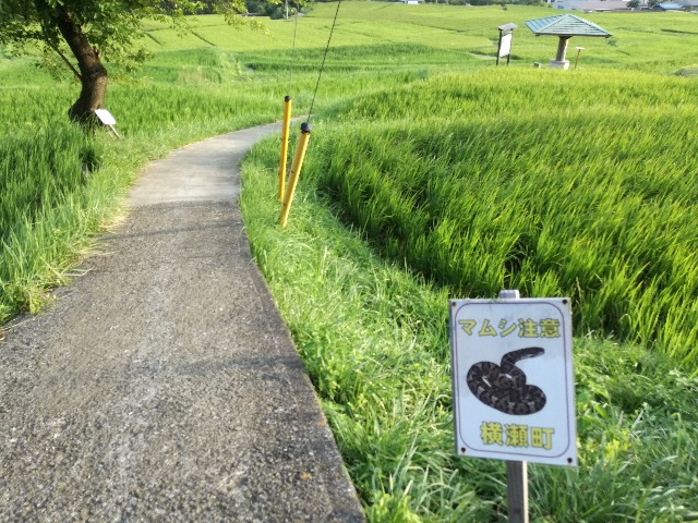 f:id:k-emu:20190818225119j:image