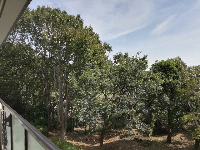 f:id:k-emu:20191001222210j:image