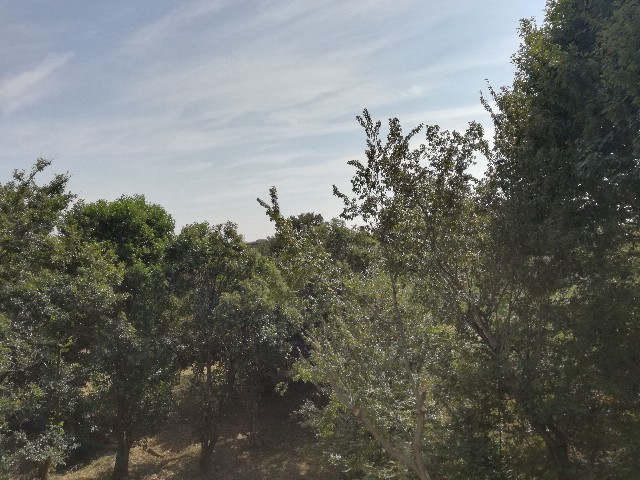 f:id:k-emu:20191001222242j:image