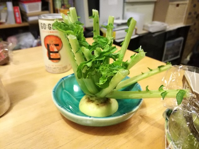 f:id:k-emu:20191124222000j:image