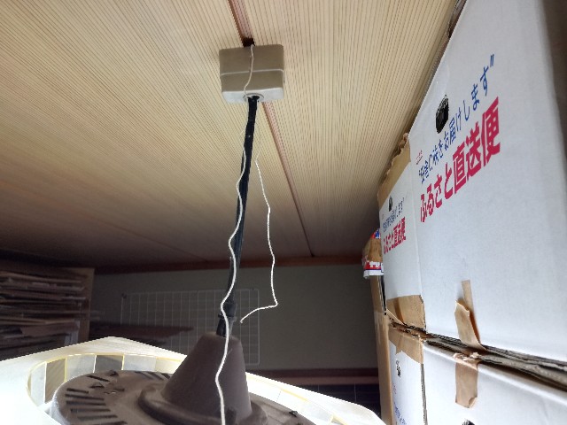 f:id:k-emu:20191129232513j:image