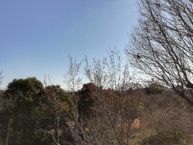f:id:k-emu:20200120225207j:image