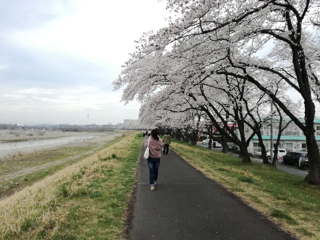 f:id:k-emu:20200327230729j:image