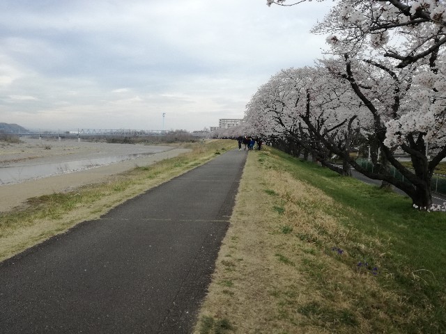 f:id:k-emu:20200327230748j:image