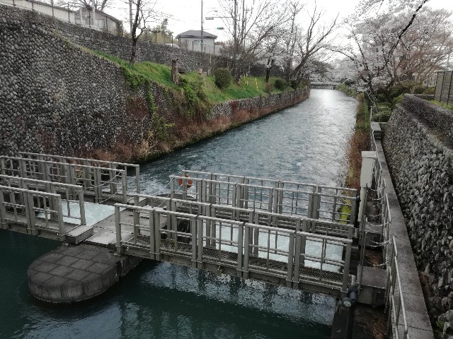 f:id:k-emu:20200327231037j:image