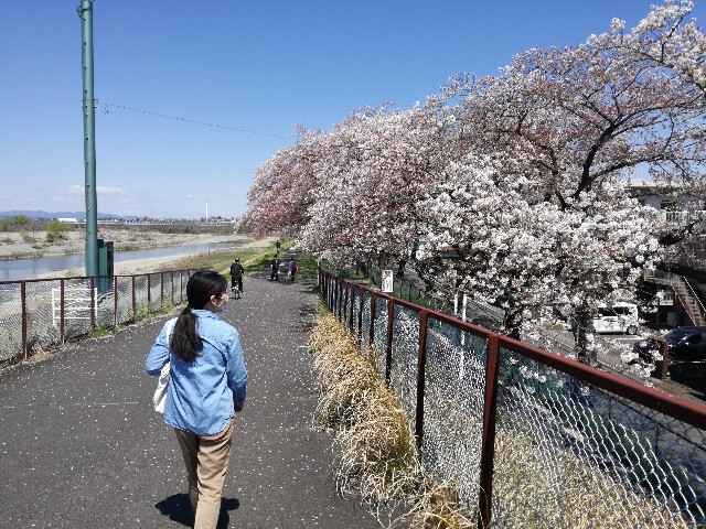 f:id:k-emu:20200406232035j:image